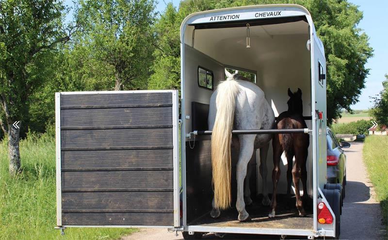 Van Touring One Cheval Liberté 1 place ½ – Sans permis EB*