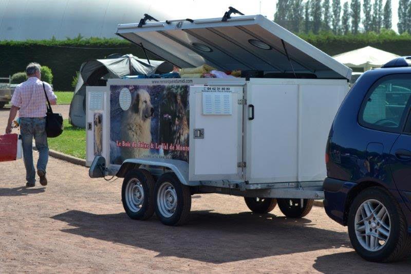 Remorque spéciale pour 4 grands chiens