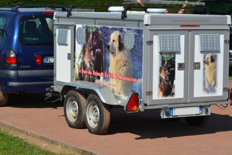 Remorque spéciale pour 4 grands chiens